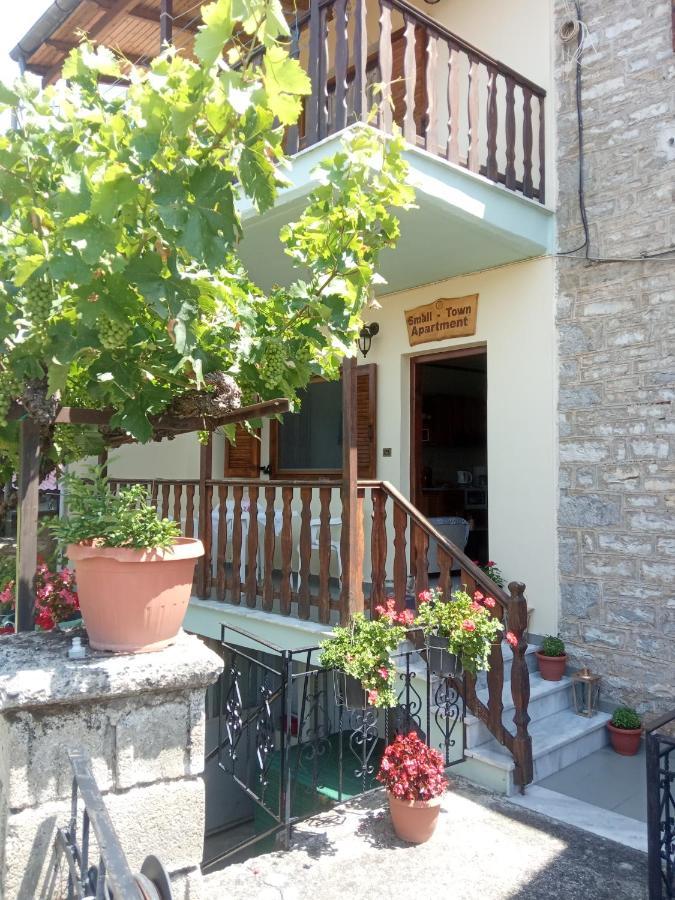 Small Town Apartment โคนิทซา ภายนอก รูปภาพ
