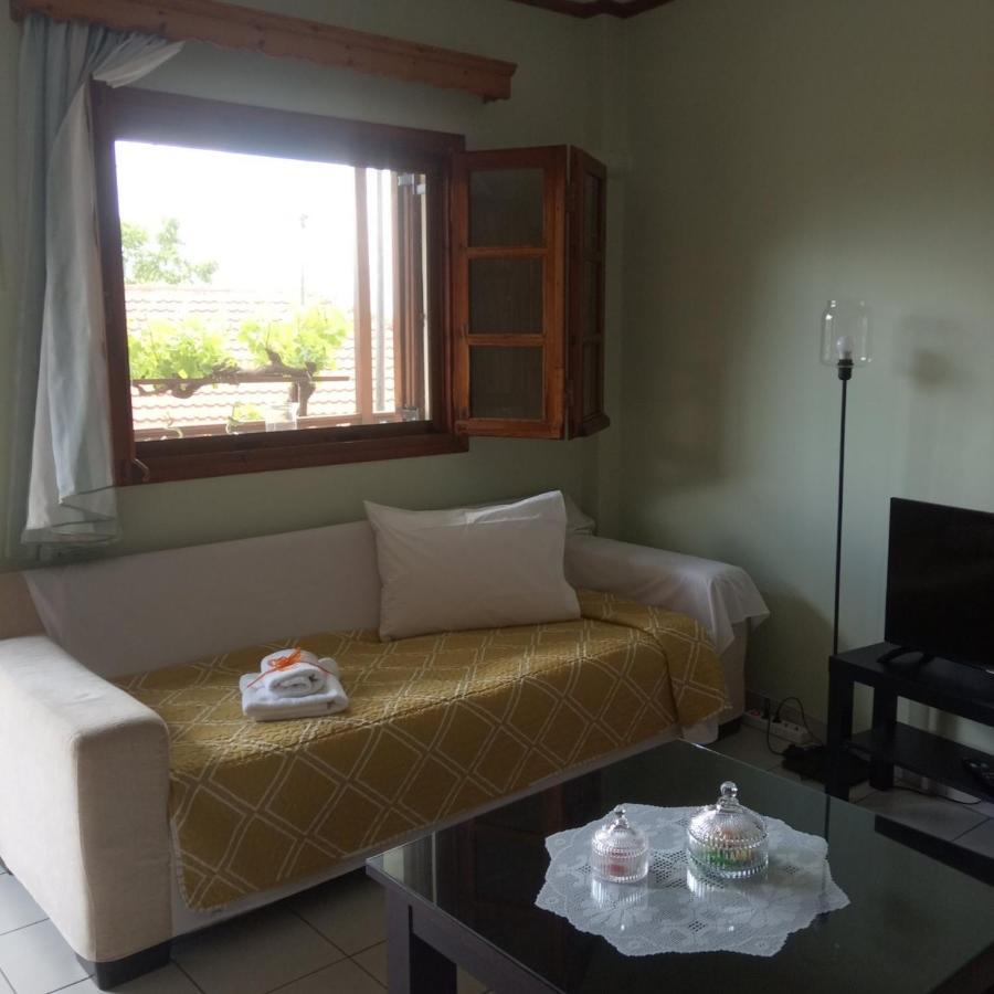 Small Town Apartment โคนิทซา ภายนอก รูปภาพ